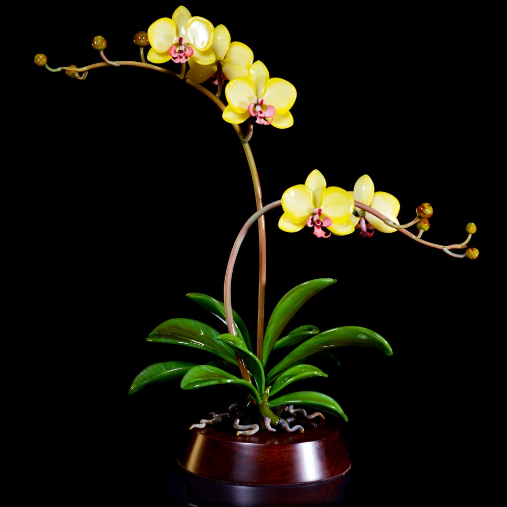 Flowers_Yellow Phalaenopsis(Double)_Call_h25xw24