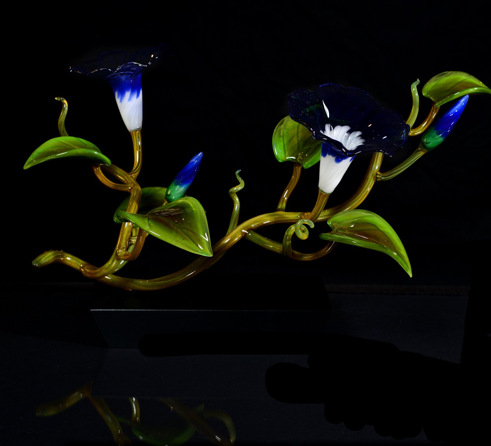 Flower_Blue morning Glory(Double)_$750_h9xw17