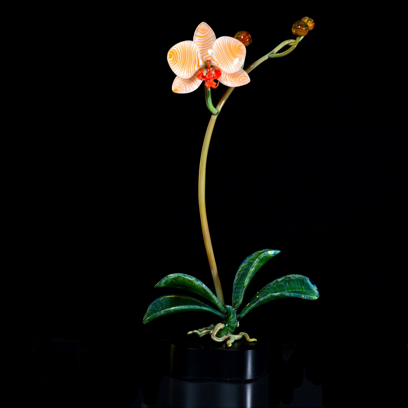 Flowers_Golden Butterfly Orchid_$725_h19xw10